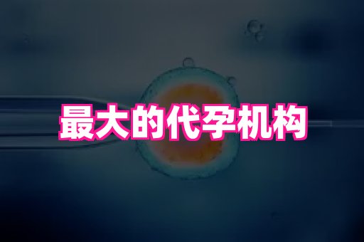 江苏助孕网 1