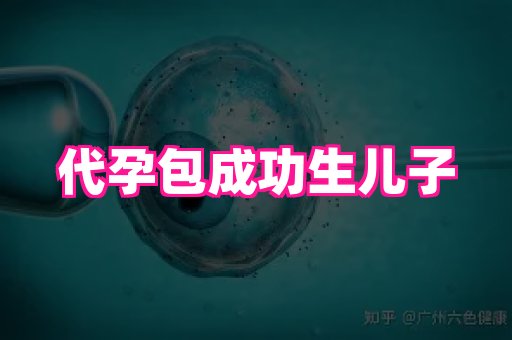 江苏助孕网 4